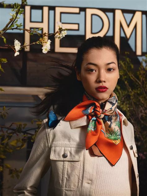 hermes campaign snow scarves|hermes fashion campaign 2023.